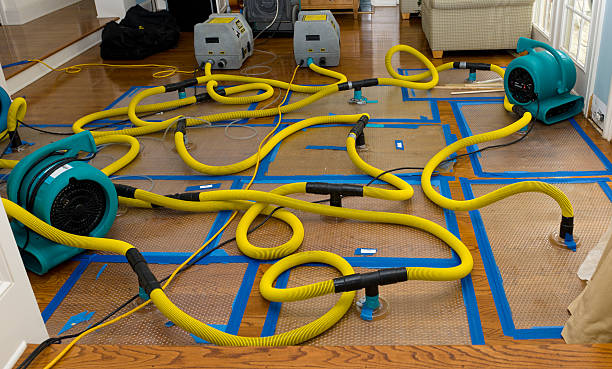 Professional Crawl Space Water Removal technician working in Orleans, IN